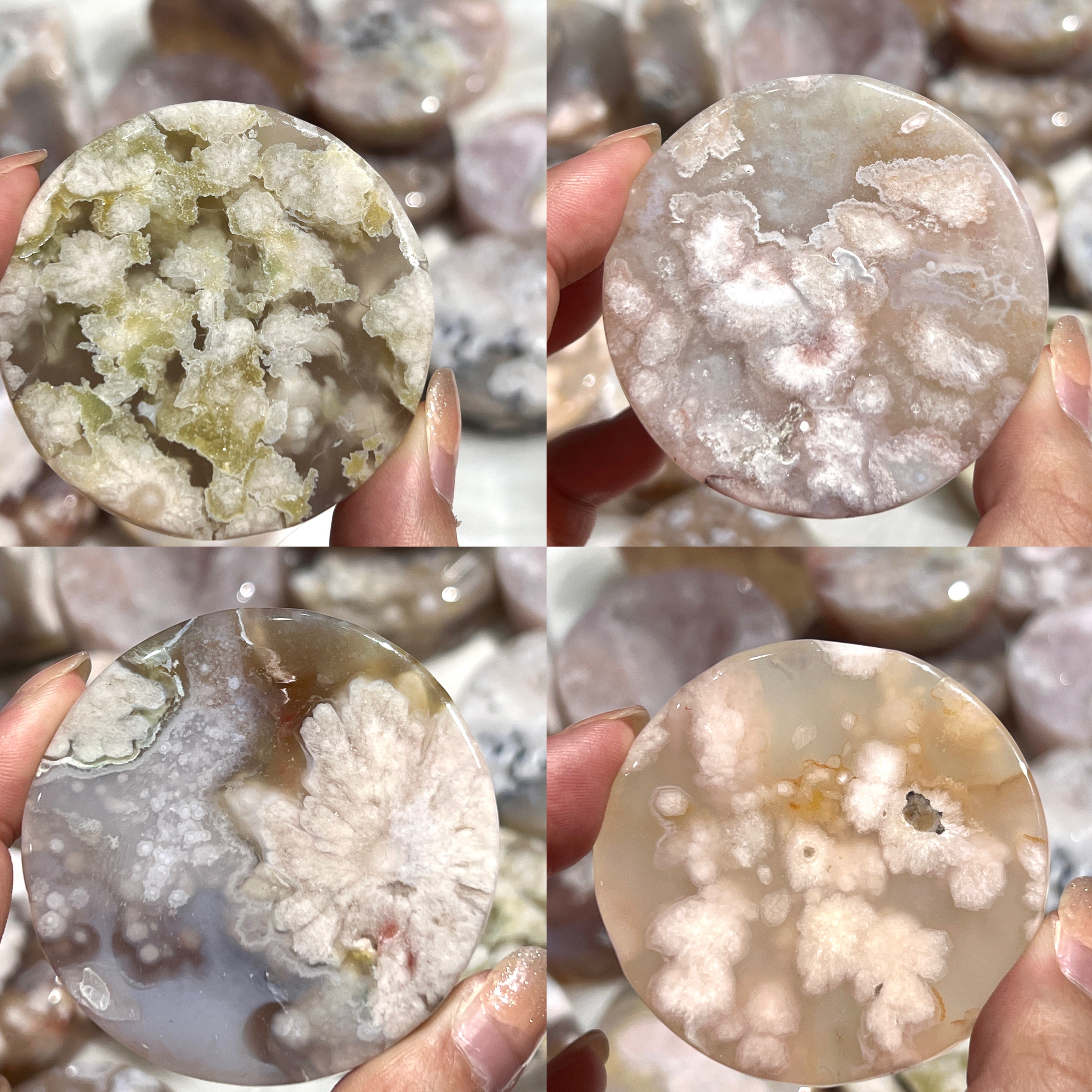 Flower Agate Round Slices For Sale